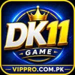 DK11 Game