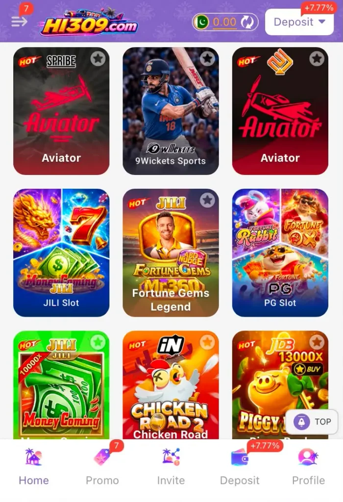 HI309 Game